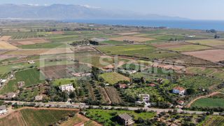Αγροτεμάχια 6.279 τ.μ. για πώληση, Μεσσηνία, Μεσσήνη-thumb-29