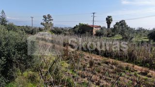 Αγροτεμάχια 6.279 τ.μ. για πώληση, Μεσσηνία, Μεσσήνη-thumb-2