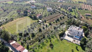 Αγροτεμάχια 6.279 τ.μ. για πώληση, Μεσσηνία, Μεσσήνη-thumb-23