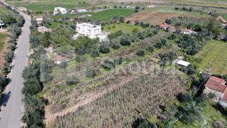Αγροτεμάχια 6.279 τ.μ. για πώληση, Μεσσηνία, Μεσσήνη-thumb-7