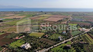 Αγροτεμάχια 6.279 τ.μ. για πώληση, Μεσσηνία, Μεσσήνη-thumb-19