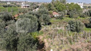 Αγροτεμάχια 6.279 τ.μ. για πώληση, Μεσσηνία, Μεσσήνη-thumb-6