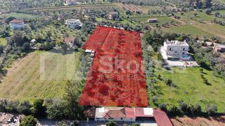 Αγροτεμάχια 6.279 τ.μ. για πώληση, Μεσσηνία, Μεσσήνη-thumb-3