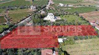 Αγροτεμάχια 6.279 τ.μ. για πώληση, Μεσσηνία, Μεσσήνη-thumb-13