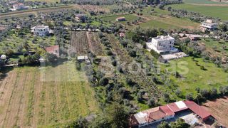 Αγροτεμάχια 6.279 τ.μ. για πώληση, Μεσσηνία, Μεσσήνη-thumb-12