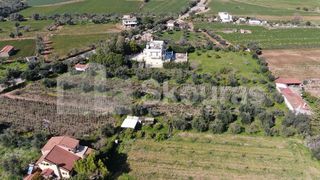 Αγροτεμάχια 6.279 τ.μ. για πώληση, Μεσσηνία, Μεσσήνη-thumb-10