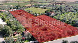 Αγροτεμάχια 6.279 τ.μ. για πώληση, Μεσσηνία, Μεσσήνη-thumb-8