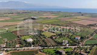 Αγροτεμάχια 6.279 τ.μ. για πώληση, Μεσσηνία, Μεσσήνη-thumb-5