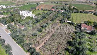 Αγροτεμάχια 6.279 τ.μ. για πώληση, Μεσσηνία, Μεσσήνη-thumb-4