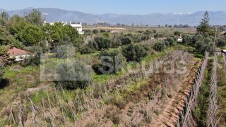 Αγροτεμάχια 6.279 τ.μ. για πώληση, Μεσσηνία, Μεσσήνη-thumb-27