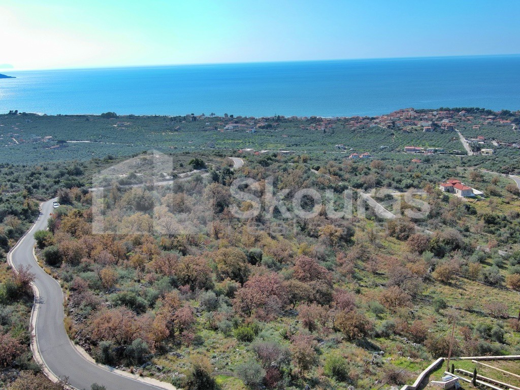 Αγροτεμάχια 19.248 τ.μ. προς πώληση, Άγιος Νικόλαος Λεύκτρου