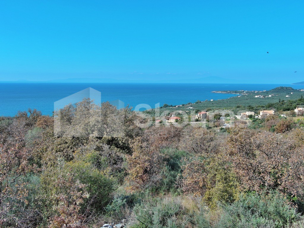 Αγροτεμάχια 19.248 τ.μ. προς πώληση, Άγιος Νικόλαος Λεύκτρου
