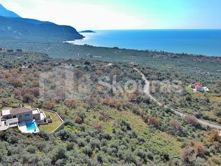 Αγροτεμάχια 19.248 τ.μ. για πώληση