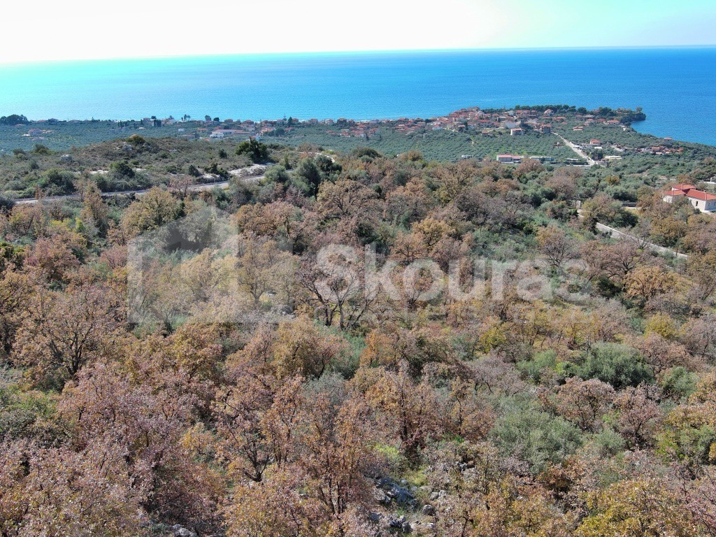 Αγροτεμάχια 19.248 τ.μ. προς πώληση, Άγιος Νικόλαος Λεύκτρου