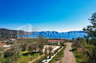 Ξενοδοχείο 980 τ.μ. για πώληση, Αργολίδα, Ερμιόνη-thumb-17