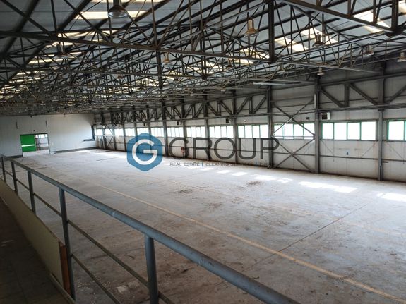 Βιομηχανικός χώρος 5.300 τ.μ. για πώληση, Εβρος, Αλεξανδρούπολη