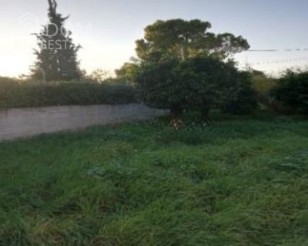 Οικόπεδο 501τ.μ. για πώληση-Ωρωπός » Νέα πολιτεία
