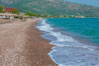 Μονοκατοικία 100 τ.μ. για πώληση, Αργολίδα, Ασίνη-thumb-22