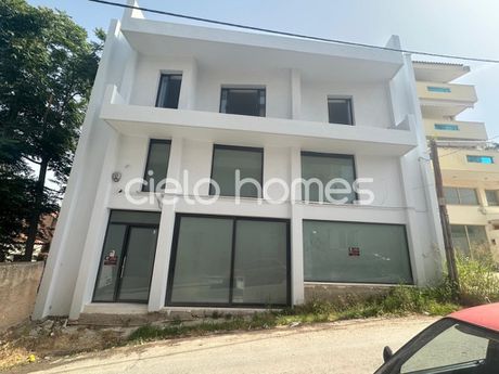 Επιχειρηματικό κτίριο 280 τ.μ. για πώληση