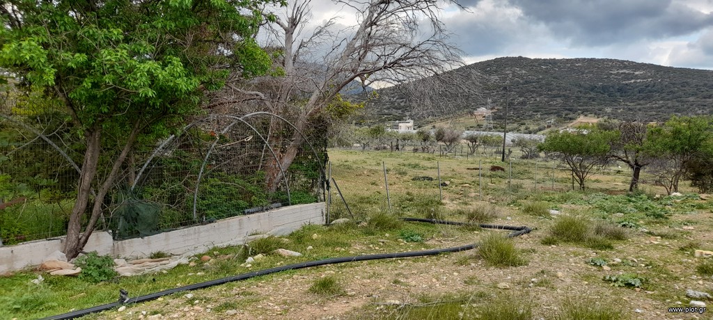 Οικόπεδο 5.800 τ.μ. προς πώληση, Κέντρο Καλυβίων Θορικού
