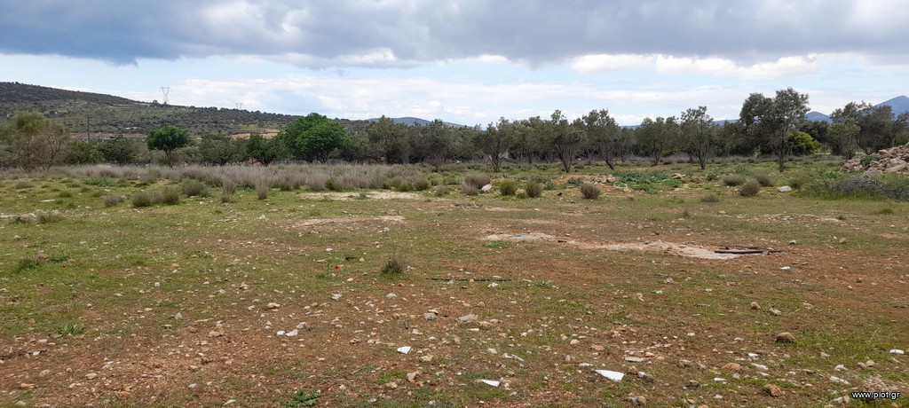 Οικόπεδο 5.800 τ.μ. προς πώληση, Κέντρο Καλυβίων Θορικού