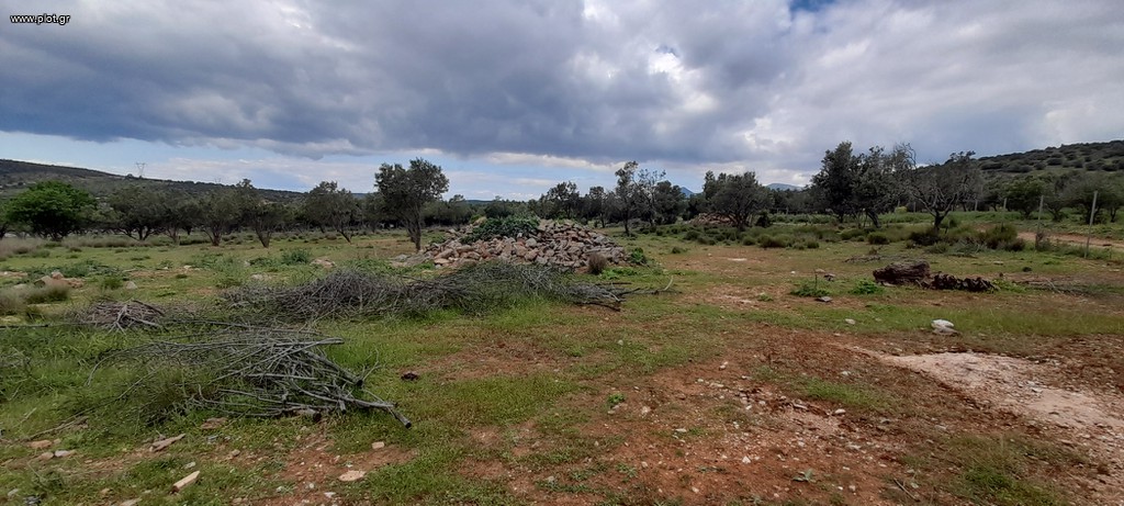 Οικόπεδο 5.800 τ.μ. προς πώληση, Κέντρο Καλυβίων Θορικού