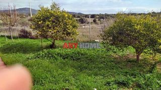 Αγροτεμάχια 1.500 τ.μ. για πώληση