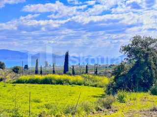 Μονοκατοικία 160 τ.μ. για πώληση, Αργολίδα, Λέρνα-thumb-16