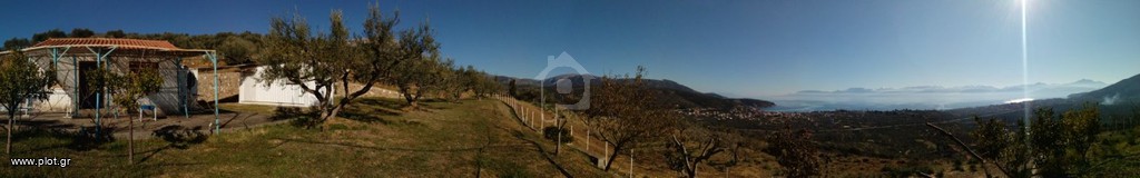 Αγροτεμάχια 17.000 τ.μ. προς πώληση, Ερατεινή