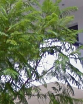 Διαμέρισμα 55τ.μ. για ενοικίαση-Γλυφάδα » Κάτω γλυφάδα
