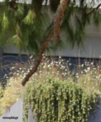 Διαμέρισμα 87 τ.μ. για πώληση, Αθήνα - Νότια Προάστια, Ελληνικό