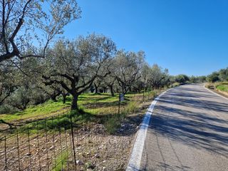 Αγροτεμάχια 19.000 τ.μ. προς πώληση, Ξάγναντο Μεσσήνης-thumb-14
