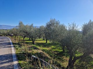 Αγροτεμάχια 19.000 τ.μ. προς πώληση, Ξάγναντο Μεσσήνης-thumb-18