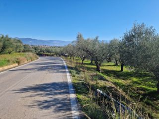 Αγροτεμάχια 19.000 τ.μ. προς πώληση, Ξάγναντο Μεσσήνης-thumb-19