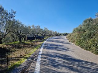 Αγροτεμάχια 19.000 τ.μ. προς πώληση, Ξάγναντο Μεσσήνης-thumb-21