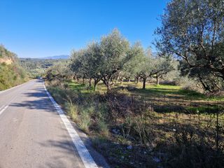 Αγροτεμάχια 19.000 τ.μ. προς πώληση, Ξάγναντο Μεσσήνης-thumb-23