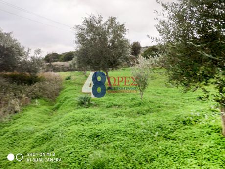 Αγροτεμάχια 810τ.μ. για πώληση-Χίος » Άγιος μηνάς