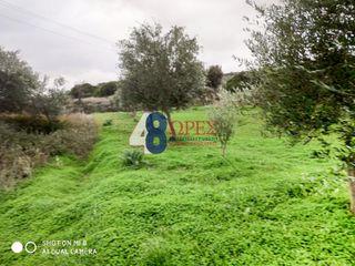 Αγροτεμάχια 810 τ.μ. για πώληση