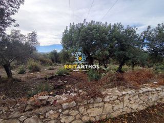 Οικόπεδο 0 τ.μ. για πώληση