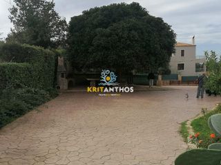 Βίλλα 443 τ.μ. προς πώληση, Πρινές Νικηφόρου Φωκά-thumb-22