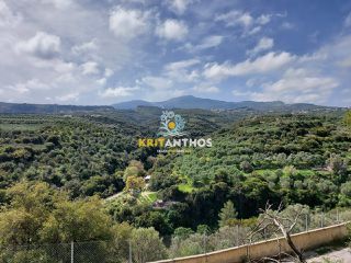 Οικόπεδο 20.000 τ.μ. για πώληση, Ν. Ρεθύμνου, Ρέθυμνο-thumb-4