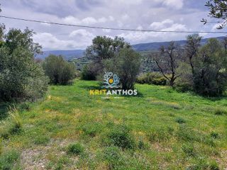 Οικόπεδο 20.000 τ.μ. για πώληση, Ν. Ρεθύμνου, Ρέθυμνο-thumb-5