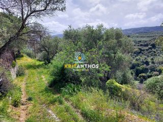 Οικόπεδο 20.000 τ.μ. για πώληση, Ν. Ρεθύμνου, Ρέθυμνο-thumb-6