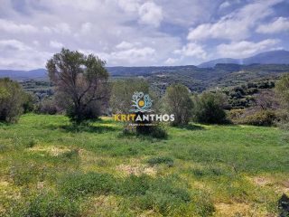 Οικόπεδο 20.000 τ.μ. για πώληση, Ν. Ρεθύμνου, Ρέθυμνο-thumb-9