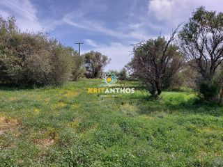 Οικόπεδο 20.000 τ.μ. για πώληση, Ν. Ρεθύμνου, Ρέθυμνο-thumb-10