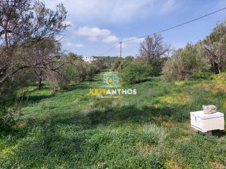 Οικόπεδο 20.000 τ.μ. για πώληση, Ν. Ρεθύμνου, Ρέθυμνο-thumb-11