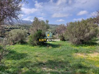 Οικόπεδο 20.000 τ.μ. για πώληση, Ν. Ρεθύμνου, Ρέθυμνο-thumb-12