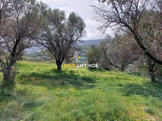 Οικόπεδο 20.000 τ.μ. για πώληση, Ν. Ρεθύμνου, Ρέθυμνο-thumb-13