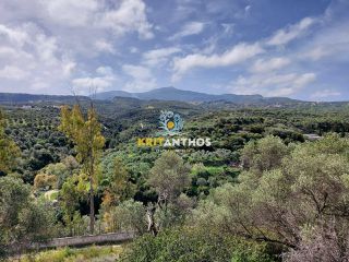 Οικόπεδο 20.000 τ.μ. για πώληση, Ν. Ρεθύμνου, Ρέθυμνο-thumb-14