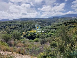 Οικόπεδο 20.000 τ.μ. για πώληση, Ν. Ρεθύμνου, Ρέθυμνο-thumb-15